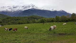 AZIENDA AGRICOLA DI CIBRARIO MARCO