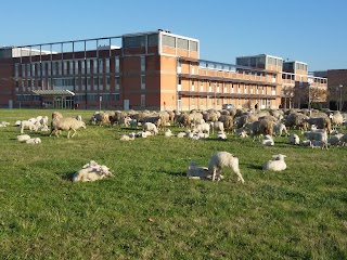 Polo Scientifico e Tecnologico di Sesto Fiorentino