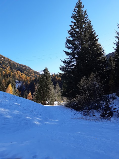 Fior Di Roccia - Valmalenco - Ristorante e Albergo