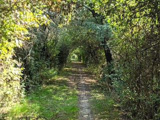 Riserva naturale orientata Parma Morta