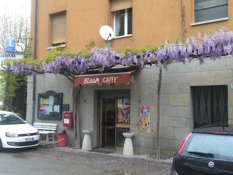 Bloom Caffe Di Calzolari Stefania