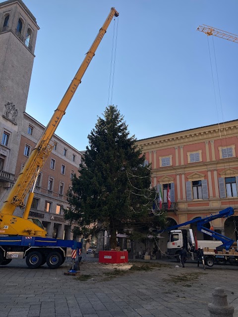 Ag Generali PIACENZA - PIAZZA DEI CAVALLI