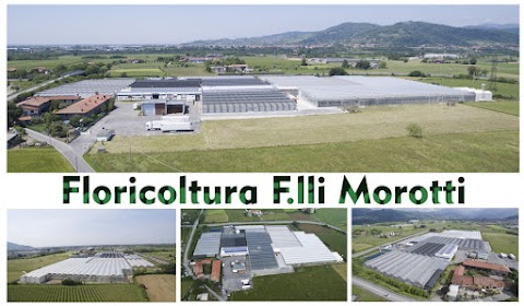 Floricoltura Fratelli Morotti