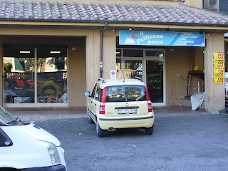 Il Pellicano Pesca Bracciano