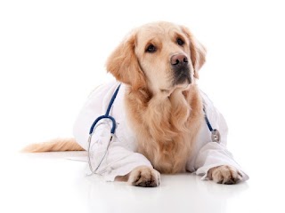 Ambulatorio Veterinario Dr. Luigi Libralesso