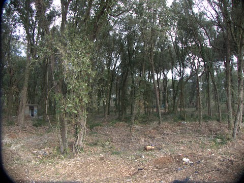 Ex Stella Polare - ora Stadio Giannattasio