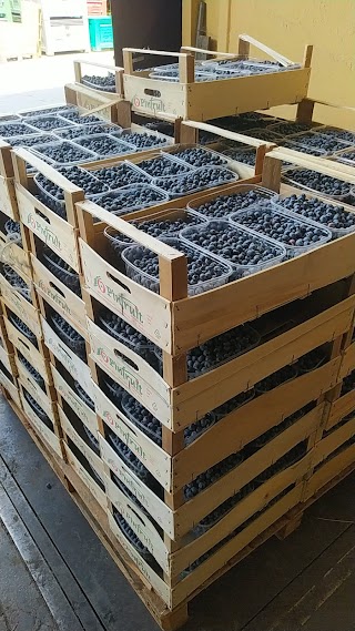 Azienda Frutticola Castagne Gros