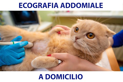 Veterinario a Domicilio - Cesaro Chiara