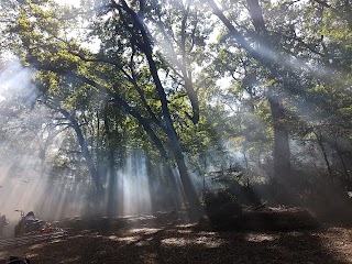 Bosco tre Cancelli