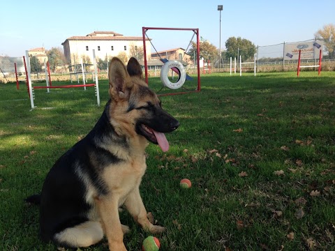 Passion for Dogs - Centro Cinofilo