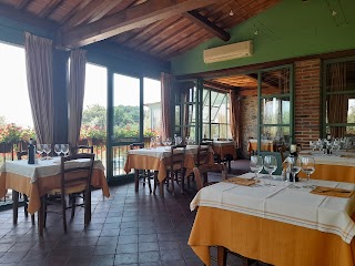 Ristorante Osteria Del Vecchio Olivo