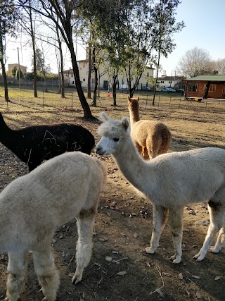 Parco degli Animali Firenze - Canile Rifugio Comune di Firenze