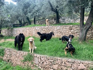 Pensione per cani La Valletta