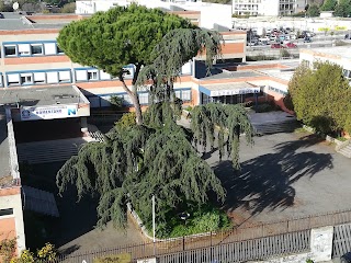 Liceo Scientifico Statale Nomentano