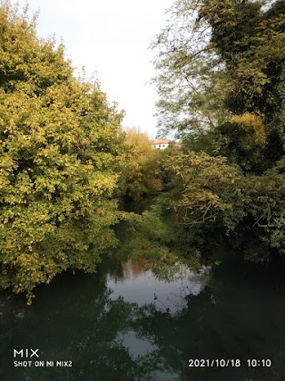 Scuola dell'Infanzia Benedetto XV Nido Integrato L'Albero Magico