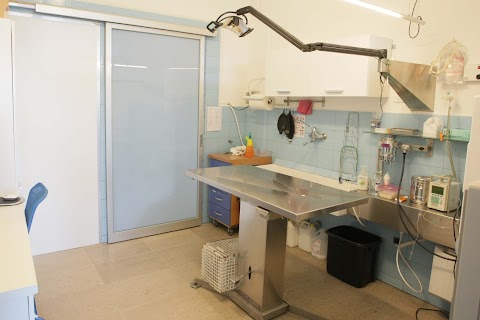 Ospedale Veterinario Santa Fara h24