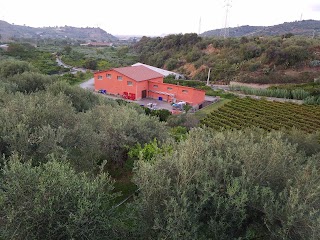 Azienda Agricola Vasari