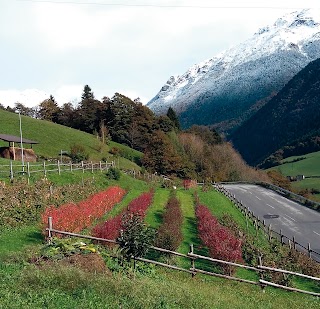 La Bottega di Marzen