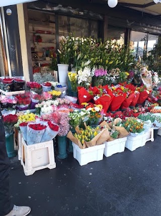 Chiosco fiori e piante