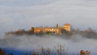 Bar Quagliodromo colli reggiani