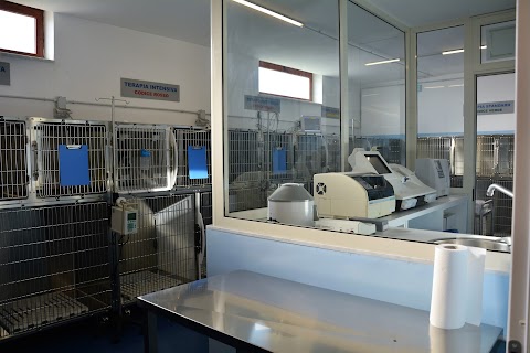 Veterinary Critical Care