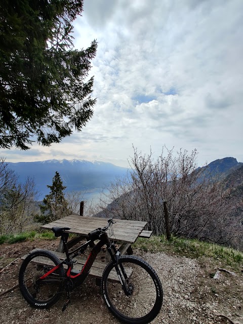 Ledro Bike Rentals