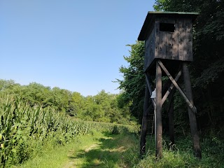 Bunker Grotta del Coston