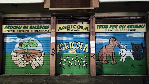 Agricola Vitinia Roma