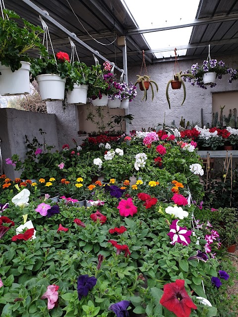 Flower Garden di Palazzolo