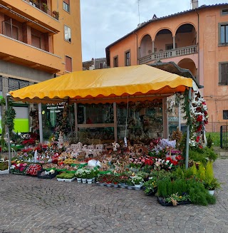 Supermercato Tigre