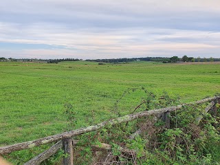 Centro di Ricerca, Documentazione e Promozione del Padule di Fucecchio