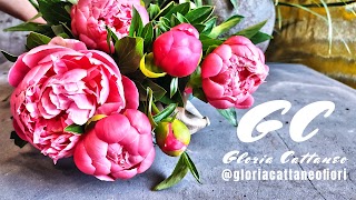 GLORIA CATTANEO FIORI