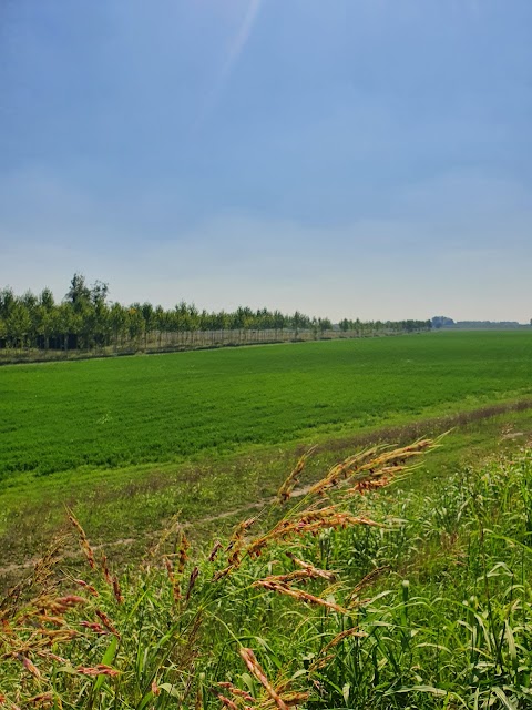 Agriturismo Antica Golena "Le Terre della Contessa"