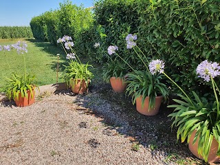 Casale Delle Rose Lendinara (Rovigo)