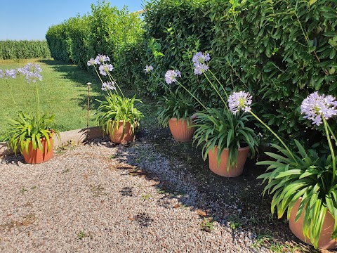 Casale Delle Rose Lendinara (Rovigo)