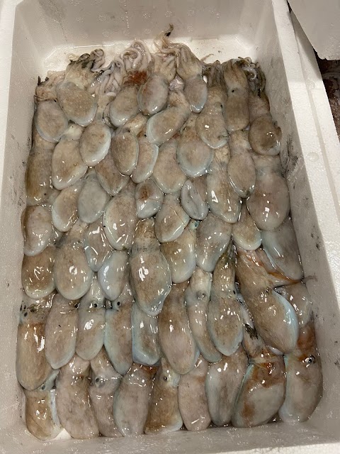 Pescheria Finezze di Mare