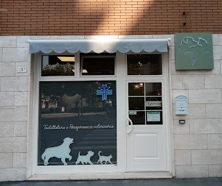 Toelettatura e Parafarmacia Veterinaria Puppy's Spa di Tesei Marco