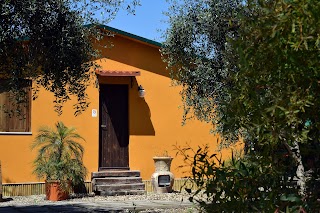 Riviera Degli Eucalipti - Cottage In Riva Al Mare