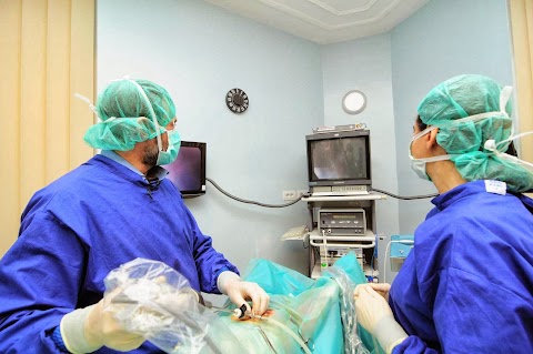 Veterinario Roma Parioli Chirurgia Mini Invasiva e Diagnostica Endoscopica