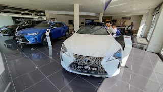 LEXUS BOLOGNA - GRUPPO M