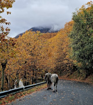 Pianoro Contrada Lago