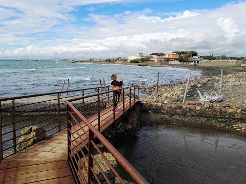 Oasi naturale delle saline