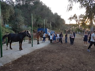 Centro Ippico Montenuovo - Scuola equitazione - Passeggiata a cavallo - CIM