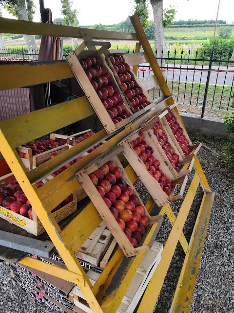 Frutta e verdura di stagione