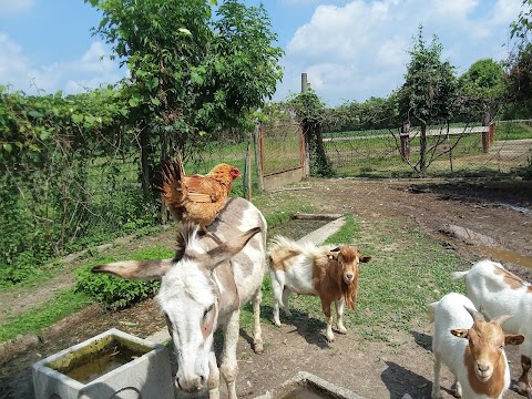 Agriturismo B&B La Storara Di Cavinato Leonardo