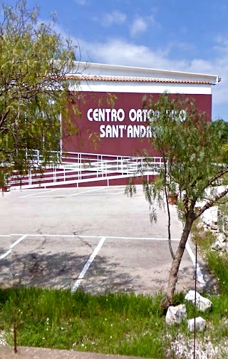 Centro Ortopedico Sant'Andrea S.R.L.