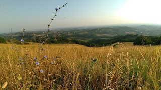 Monte Tre Croci