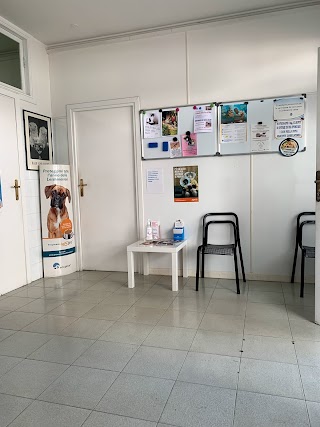 Centro Veterinario Diagnostico Fondi