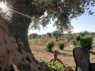 I TRULLI DI NONNO GIOVANNI