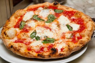 Dimensione Pizza Roma